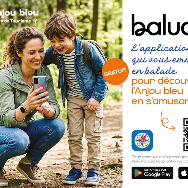 Instagram #anjoubleu